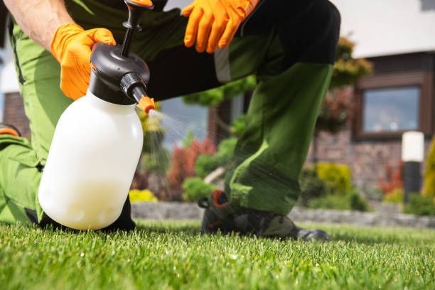 Trusted Tariffville, CT Pest Control Experts